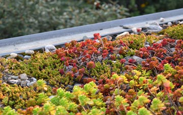 the cost of Twiston green roof installation