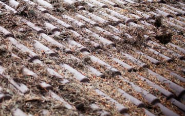 Twiston roof cleaning companies